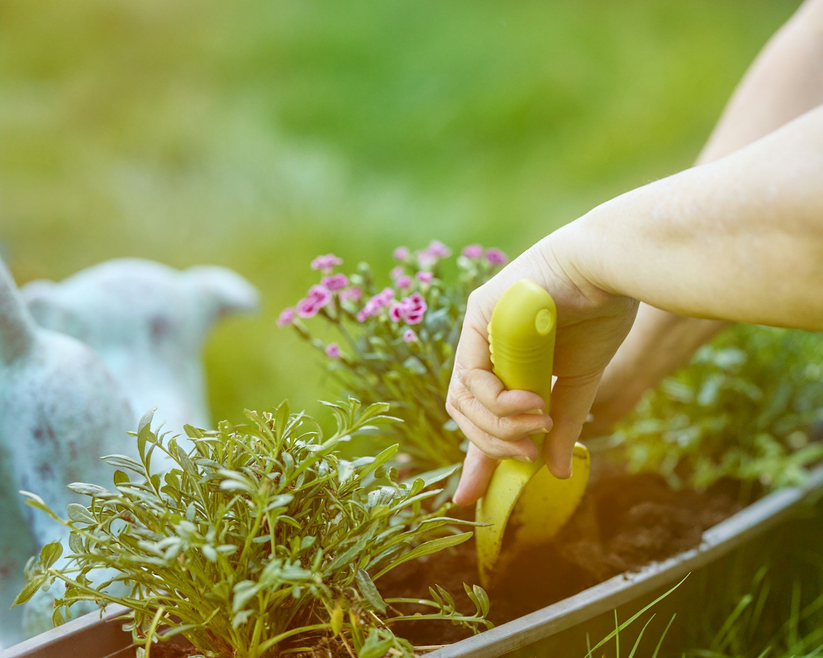 Ajouter un peu plus de terre que prévu dans un massif