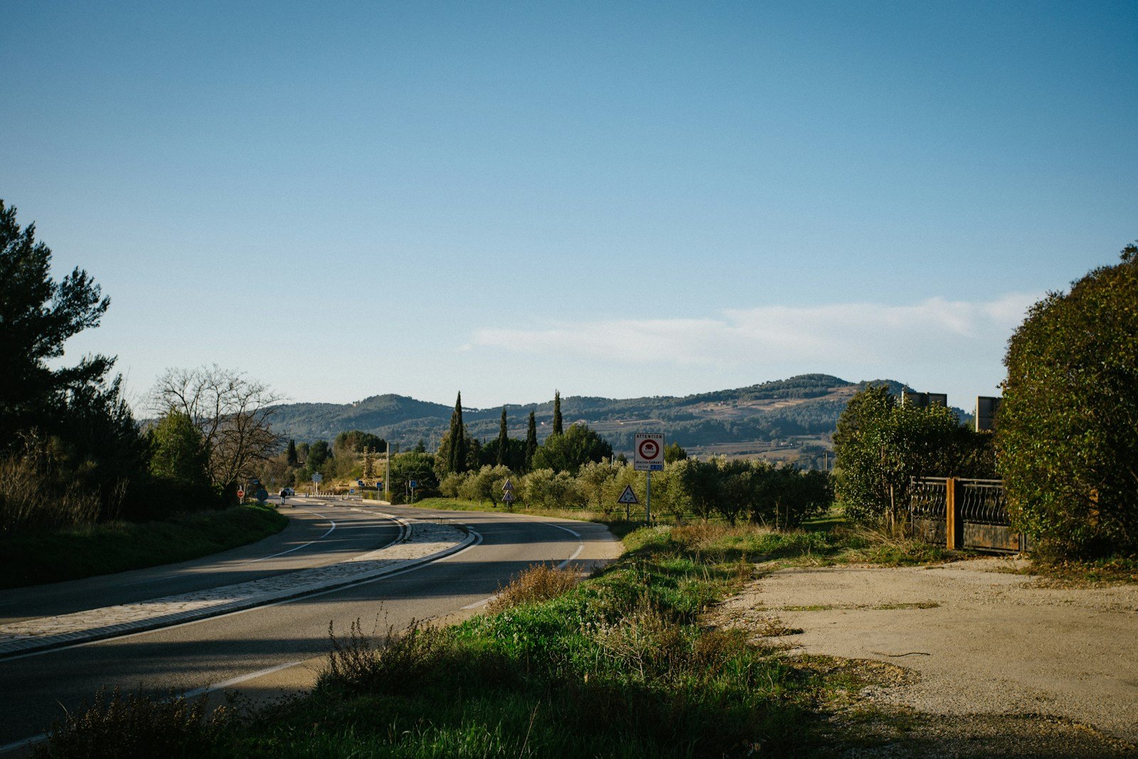 Allée de cyprès bordant un chemin de campagne en Provence