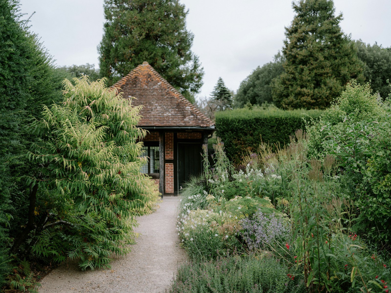 Allée de jardin bordée de vivaces et de feuillages
