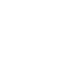 L'ars des fleurs favicon white