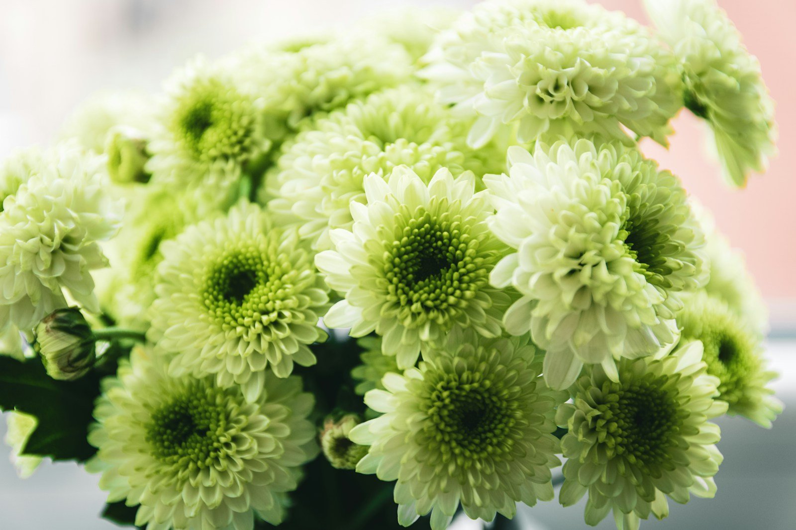 Bouquet de santinis verts et blancs