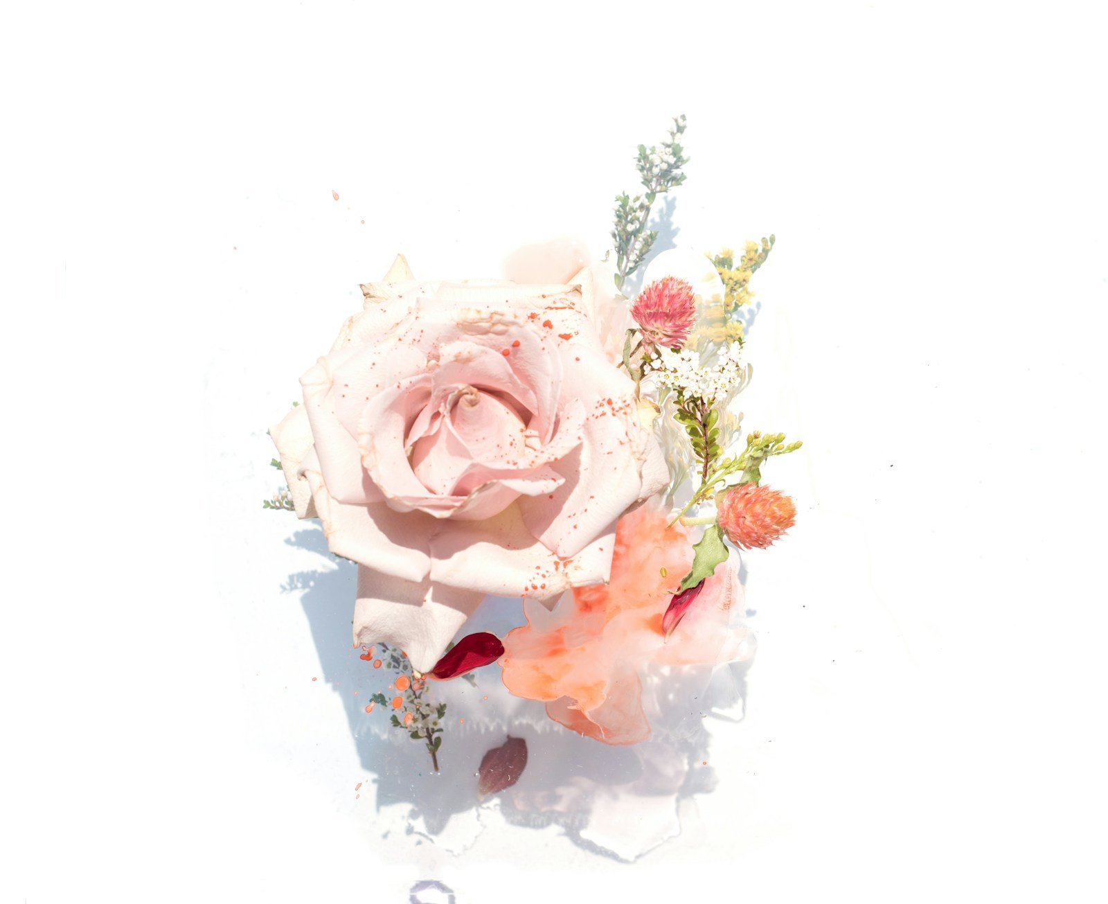 Boutonnière de mariage réalisée avec une rose branchue