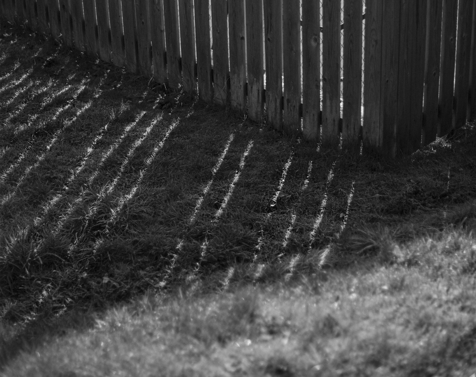 Clôture en bois patiné par les années dans un jardin