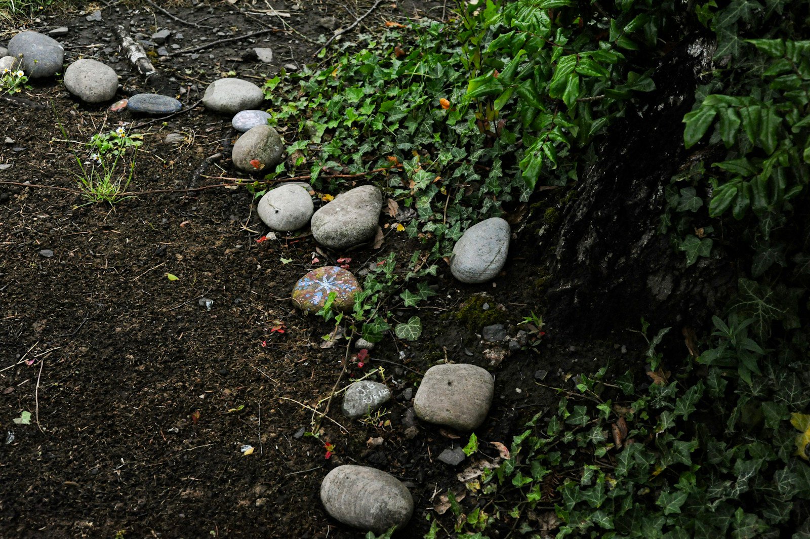 Crotte de hérisson posée sur une allée de jardin