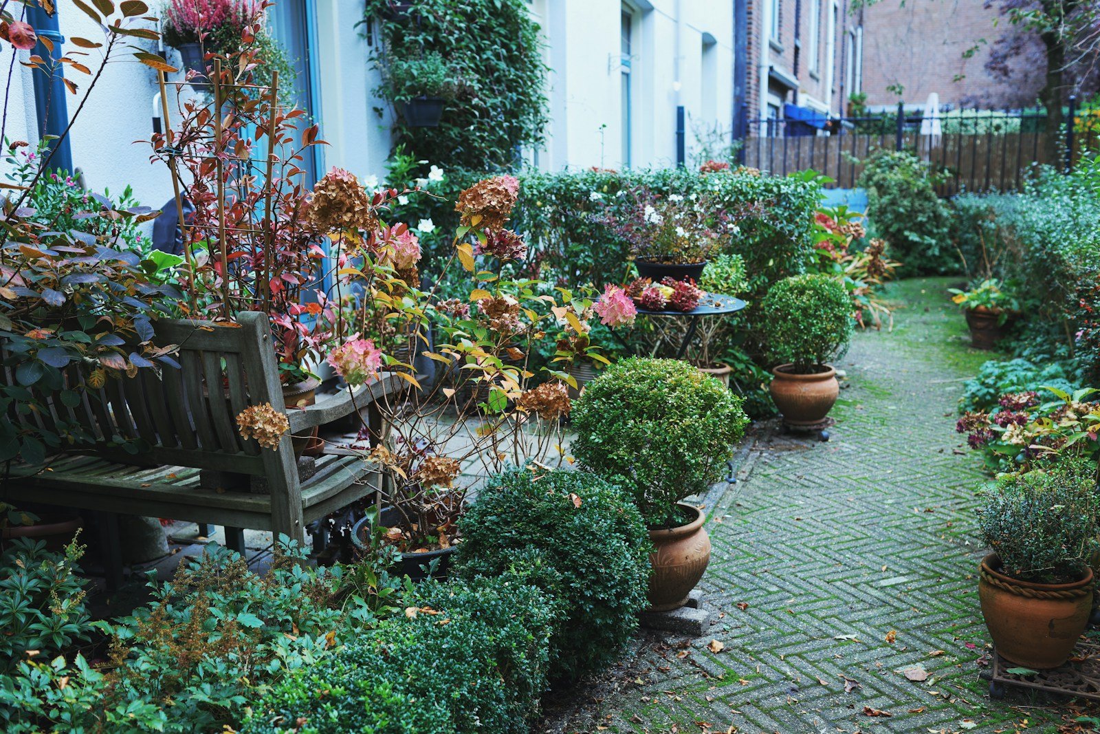Floraisons échelonnées dans des pots de petite cour