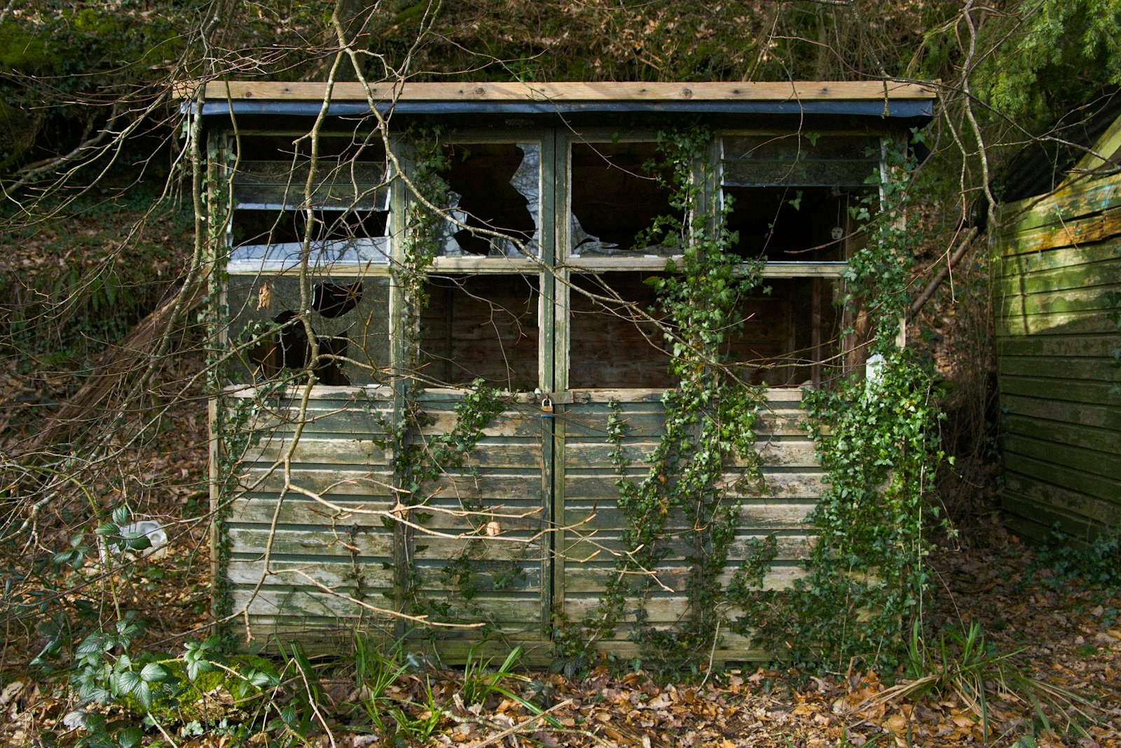 Grillage fin posé sur une ouverture de cabanon
