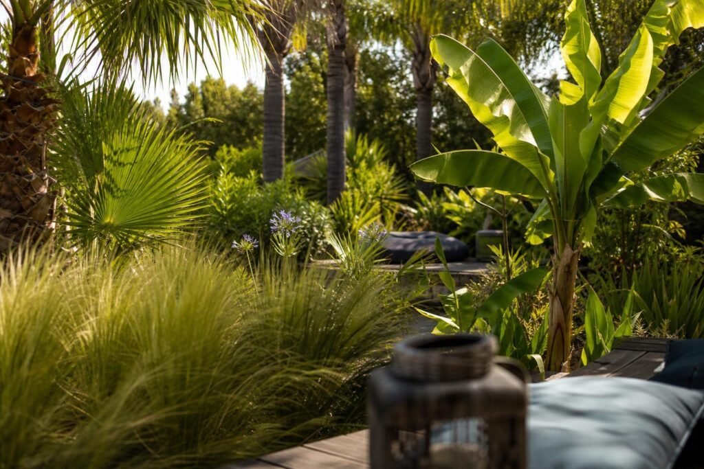 Jardin exotique aménagé avec palmiers, bananiers et graminées