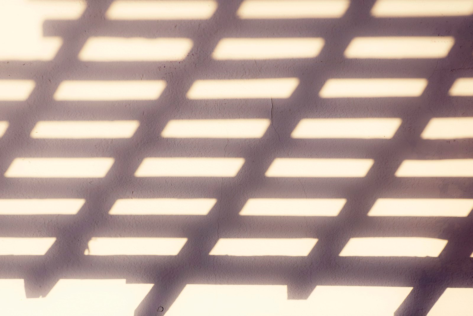 Jeu de lumière et d'ombre dans un petit jardin