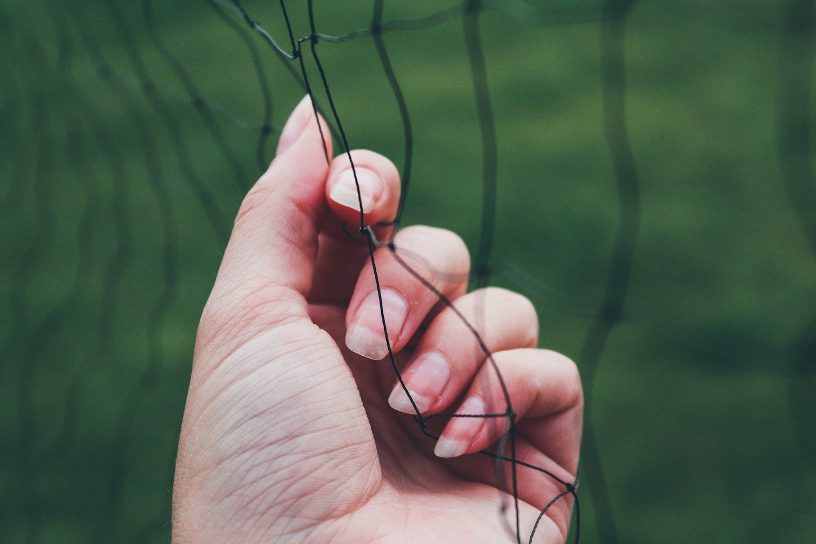 Main vérifiant la maille d'un filet de jardin