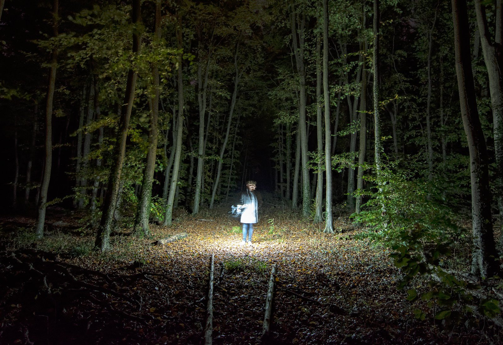 Observer discrètement le jardin à la tombée de la nuit