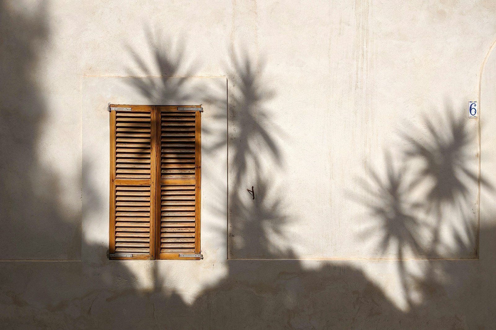 Ombre portée d'une façade sur un parterre en journée