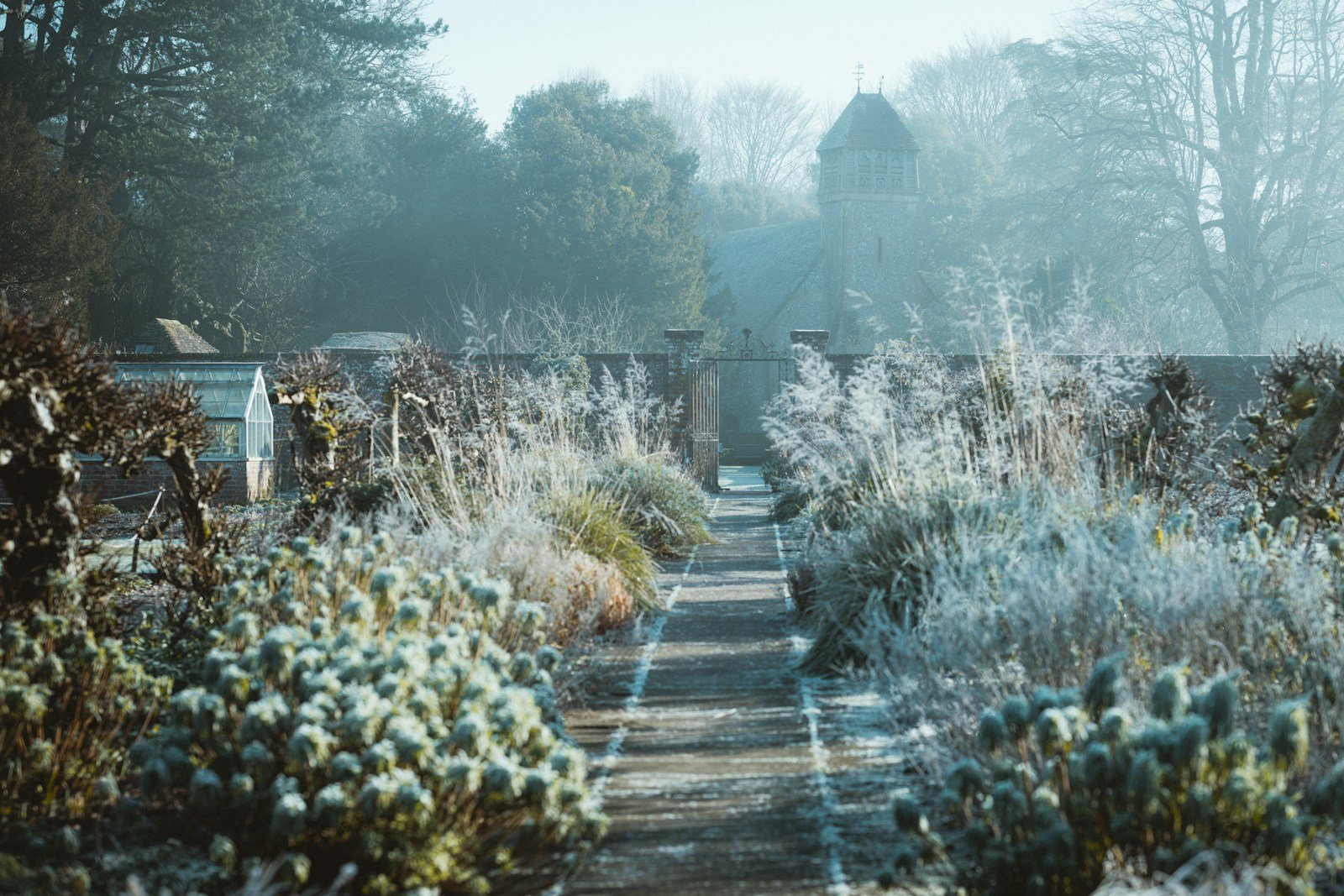 Parterre de fleurs en hiver avec structure persistante