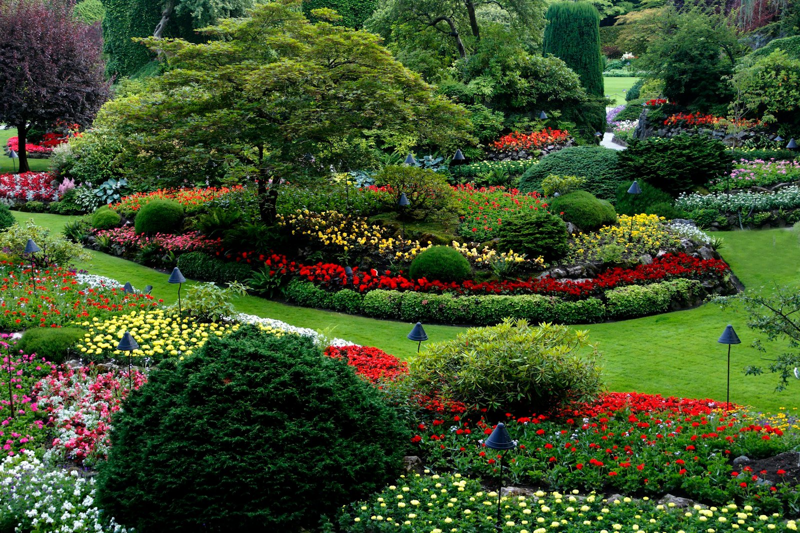Parterre de fleurs structuré en plusieurs hauteurs