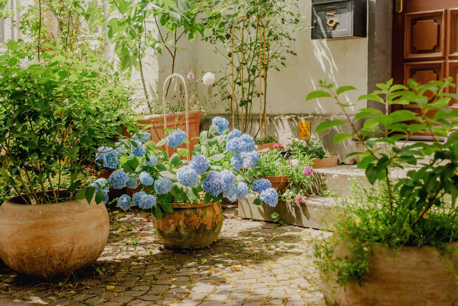 Petit jardin de ville aménagé avec des pots fleuris