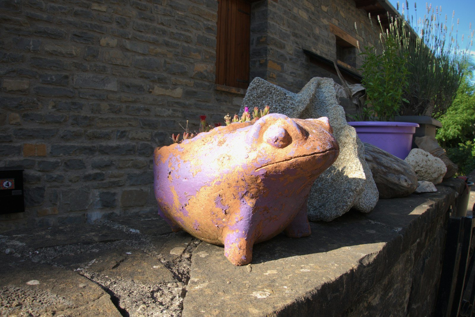 Pot de lavande en fleurs installé en plein soleil sur un balcon