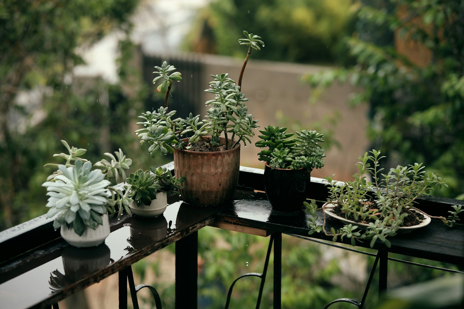 Pots de tailles différentes superposés sur un balcon