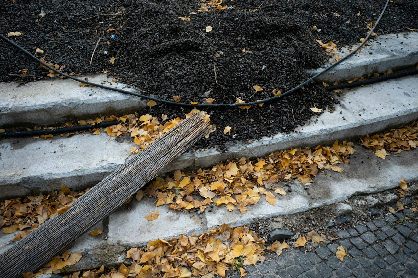Préparation du sol en automne au jardin