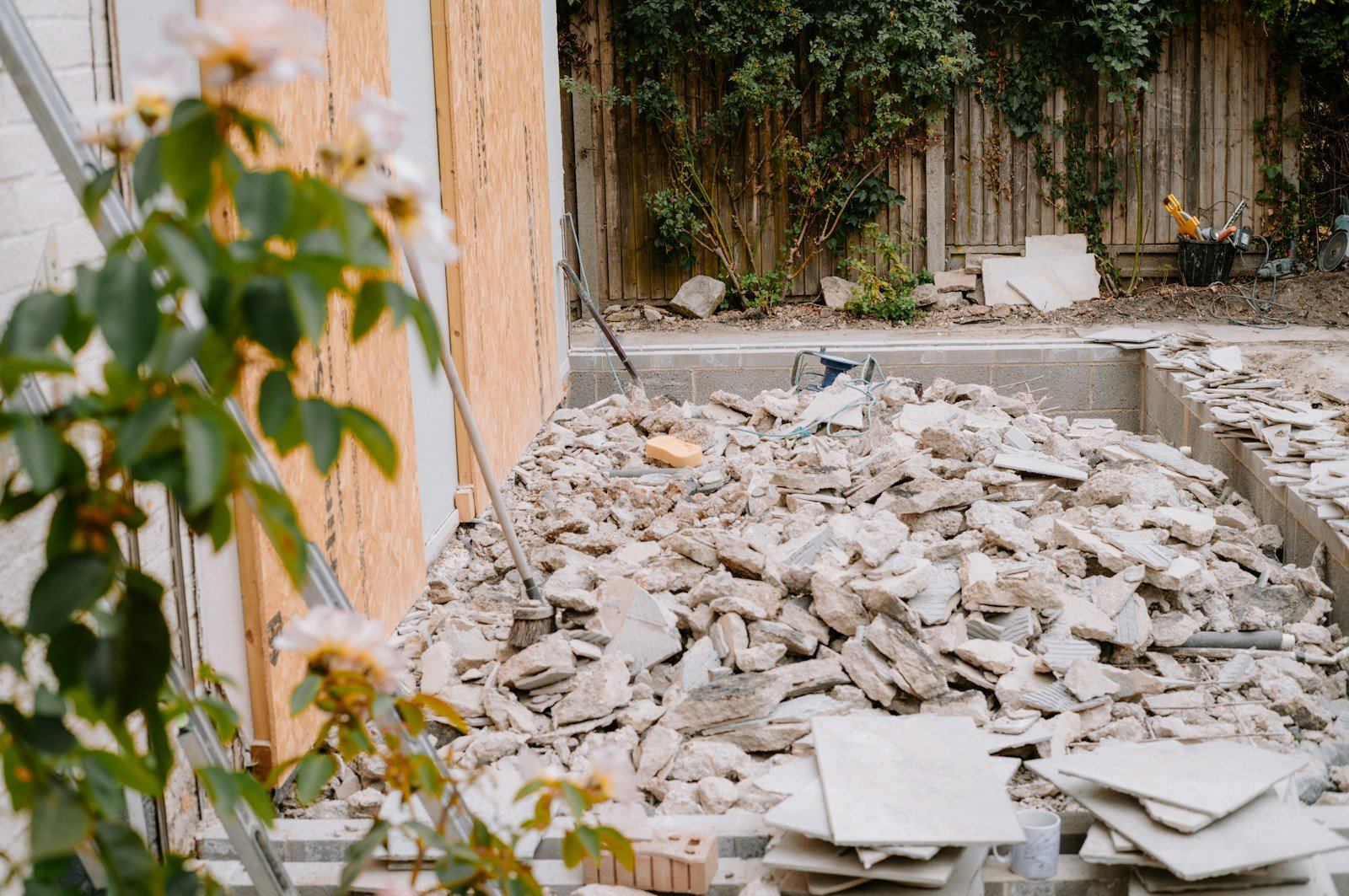 Racines d'arbre à proximité des fondations d'une maison