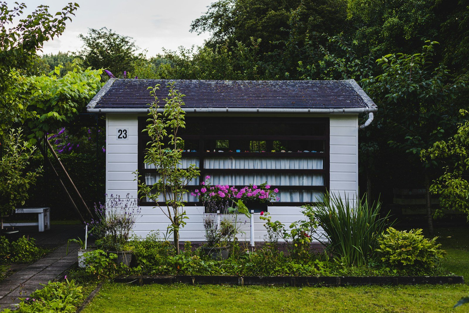 Recoin d'un cabanon en bois propice à un nid de loir