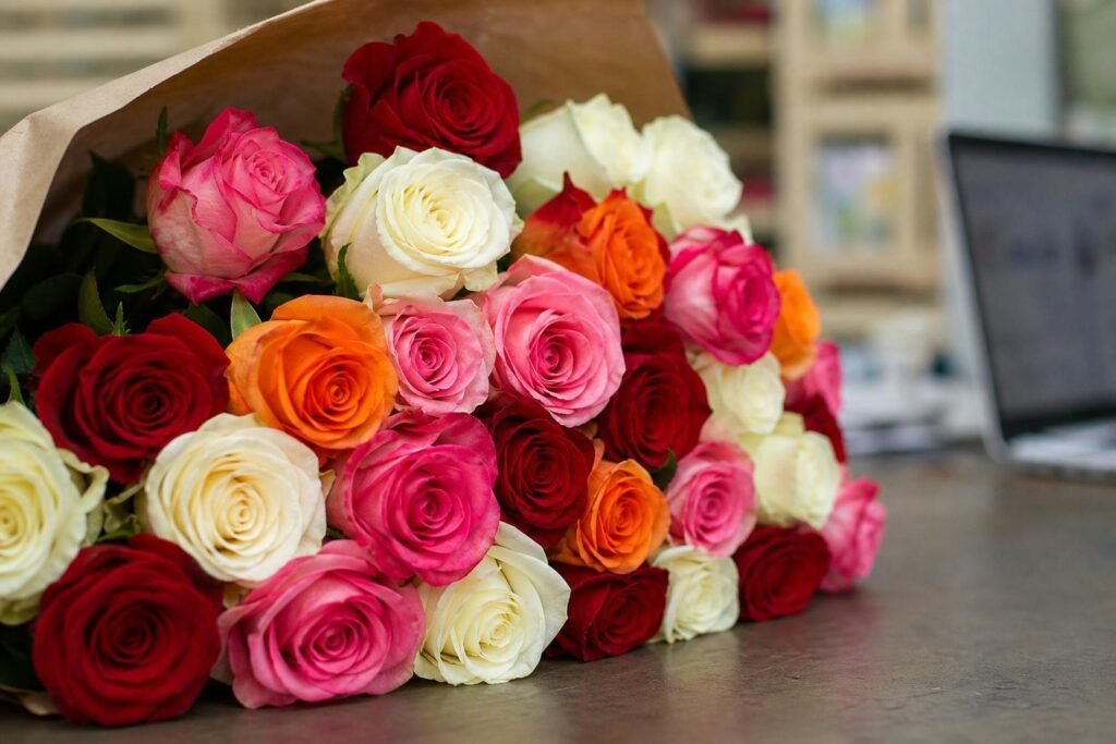 Roses d'Équateur aux boutons généreux et couleurs intenses
