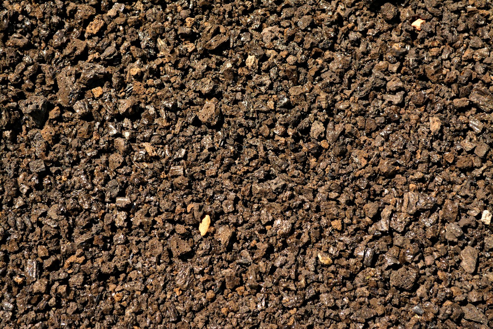 Sol bien drainé, même pauvre, adapté au cotinus