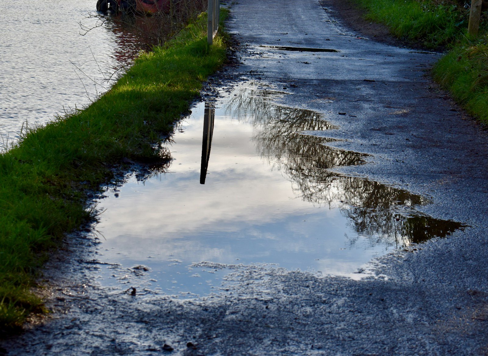 Sol détrempé après de fortes pluies au pied d'un arbre