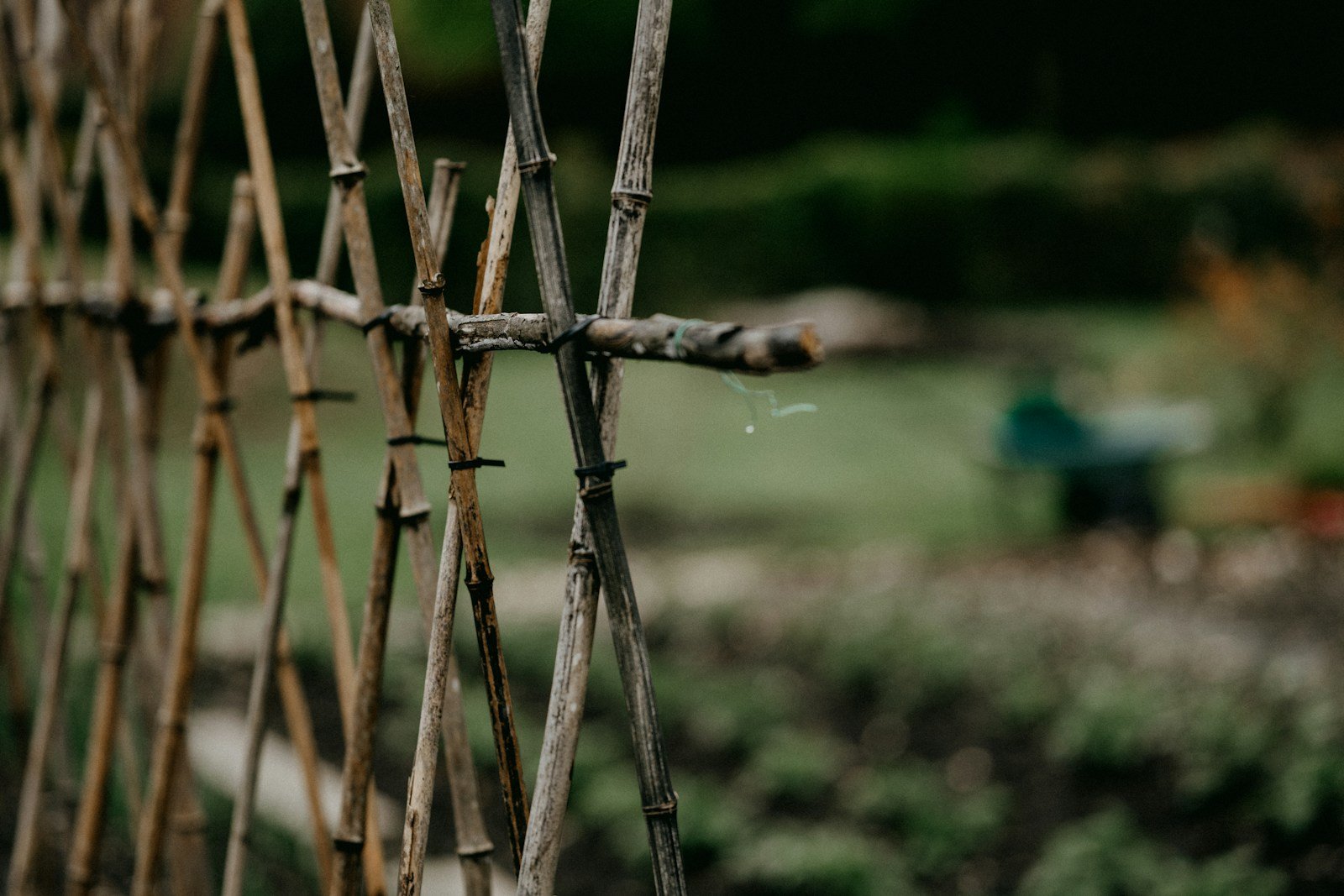 Structure en tuteurs soutenant un filet au jardin