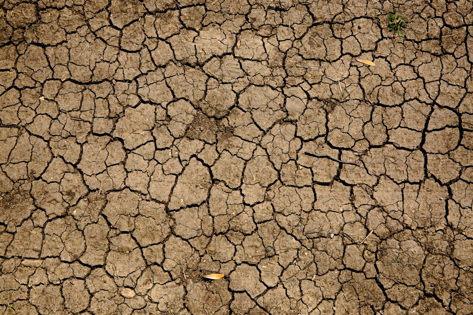 Terre sèche et craquelée en période de sécheresse