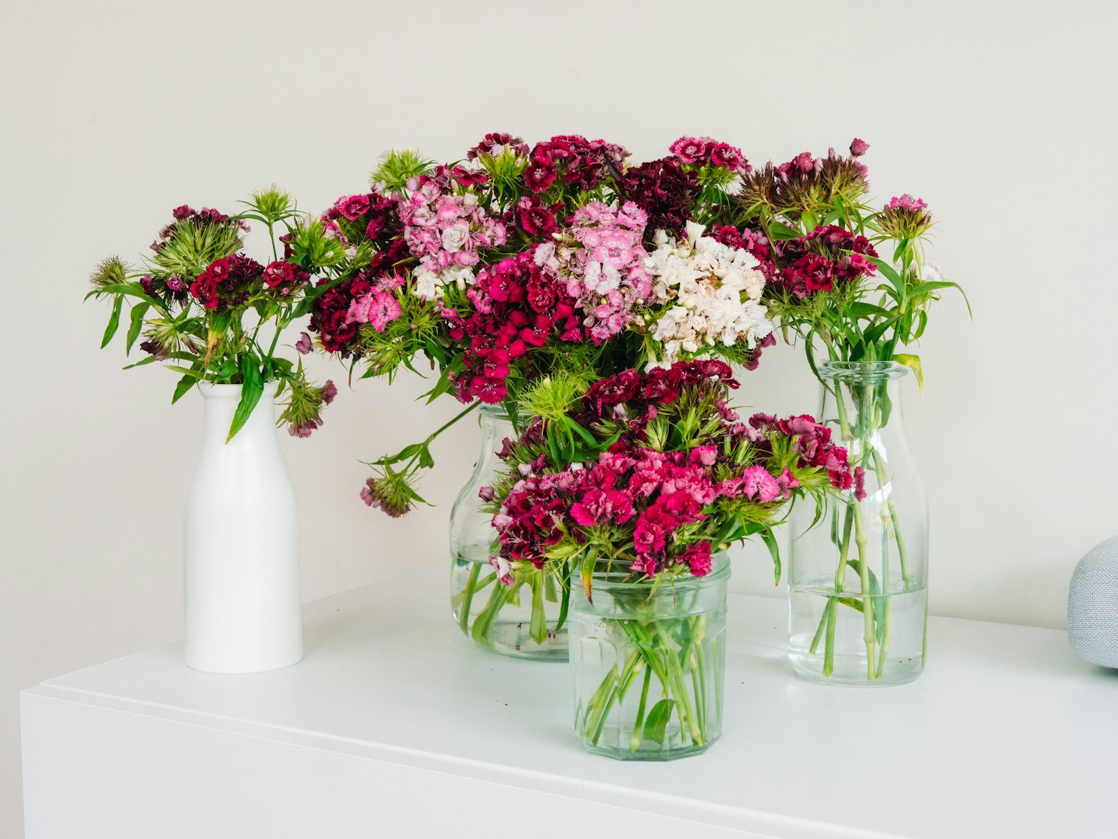 Tiges d'hypericum fraîchement coupées dans un vase