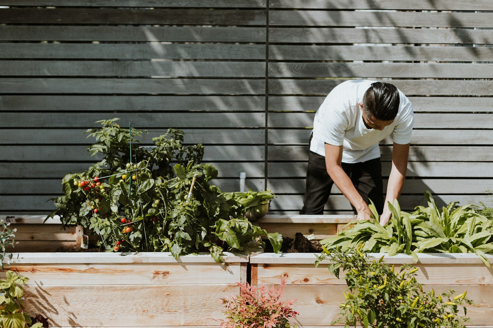 Un carré potager en kit prêt à être assemblé au jardin