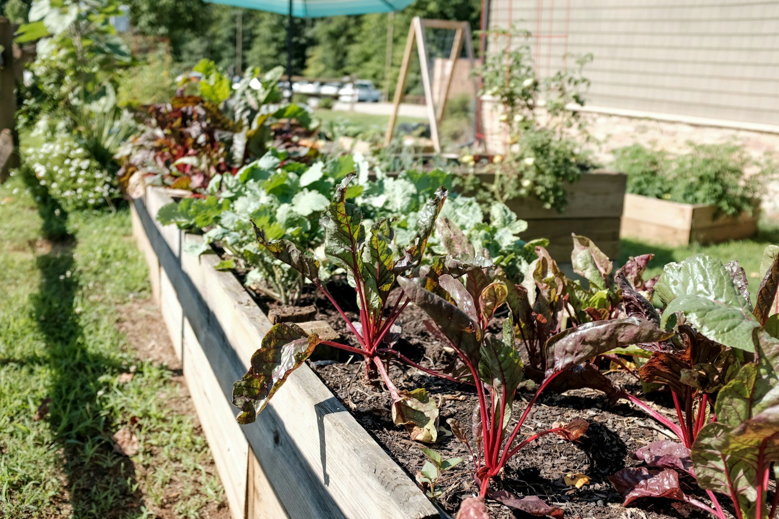 Un carré potager surélevé en bois installé dans un jardin