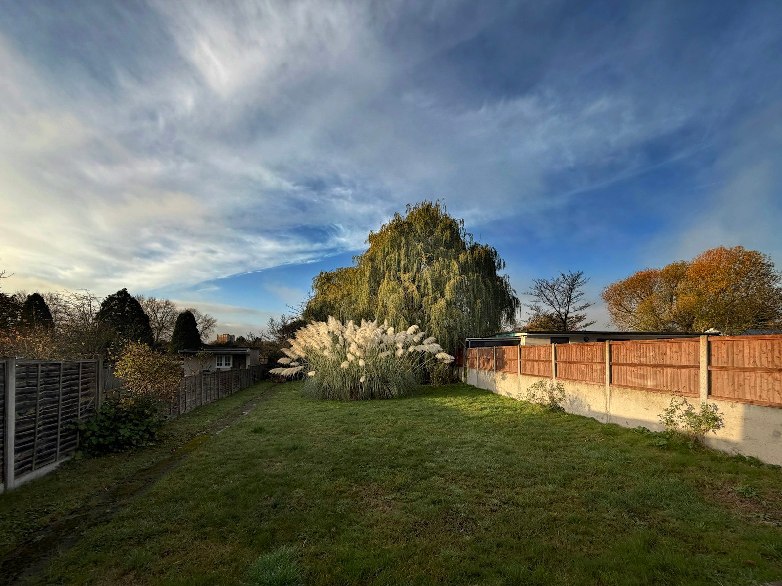 Un jardin très net, sans un oiseau à l'horizon