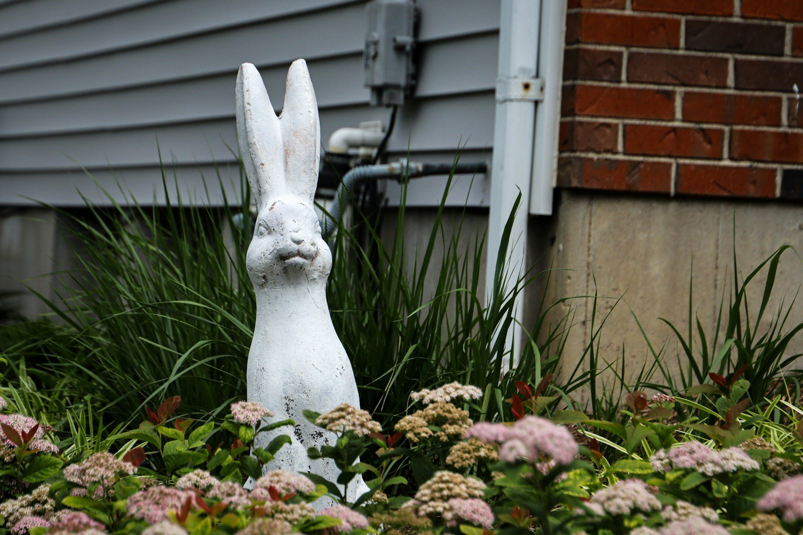 Un jardin vivant où la petite faune souterraine trouve sa place