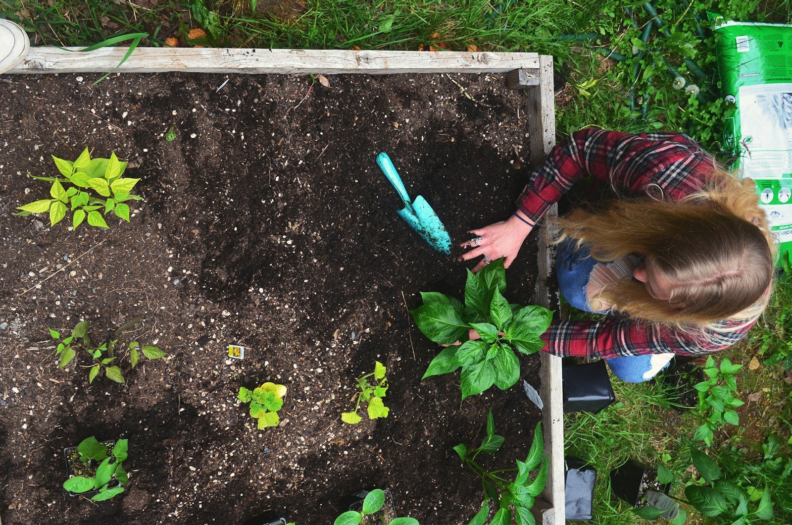 Une personne arrose son potager surélevé sans se baisser