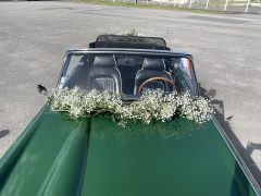 IMG_2025