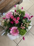IMG_2263 (2)