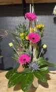 IMG_3702 (1)