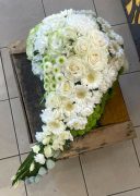 IMG_9803 (1)